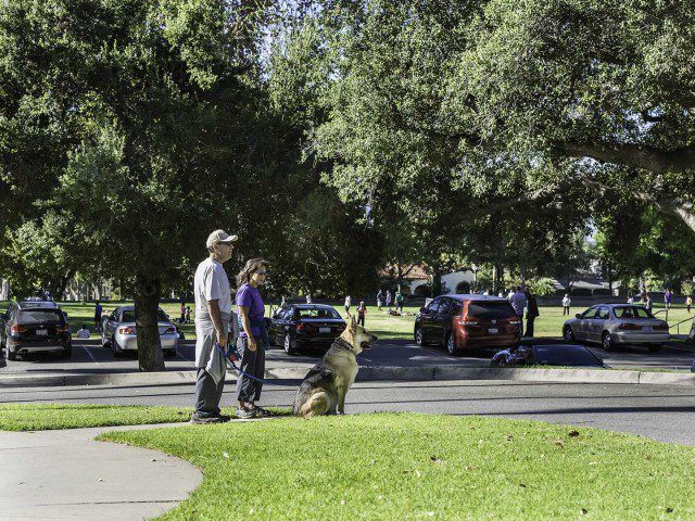 Brand Park, Northwest Glendale