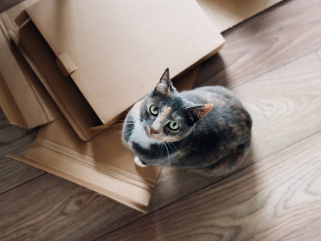 21 Moving Hacks