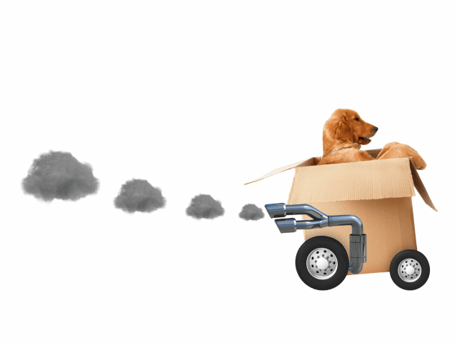 Selling With Pets