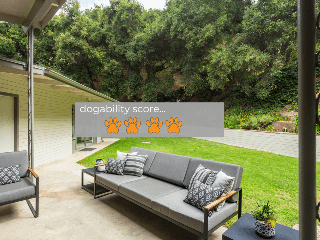 Buckingham Dogability Score