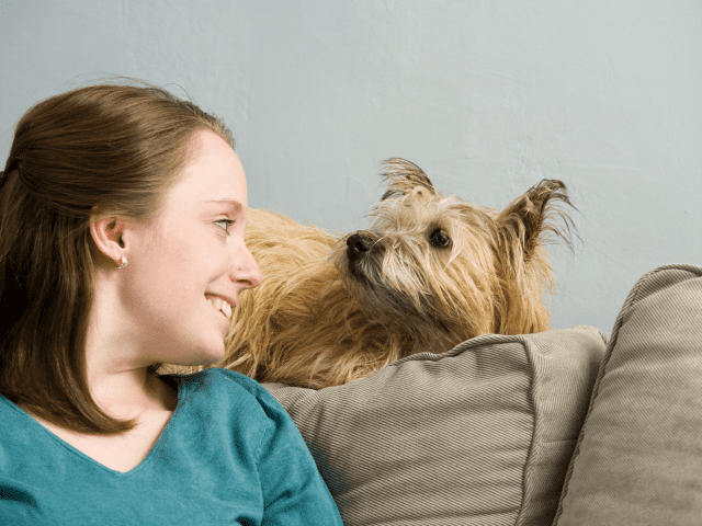 Guide to Buying A Home With Pet