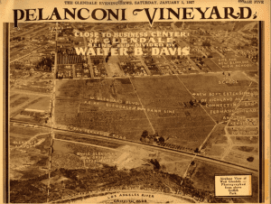 Map of Pelanconi Vineyards from 1921