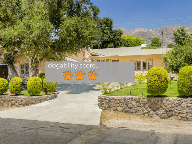 Dogability Score Encinal