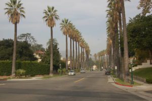 Homes For Sale Royal Canyon