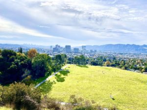 City View from Brockmont