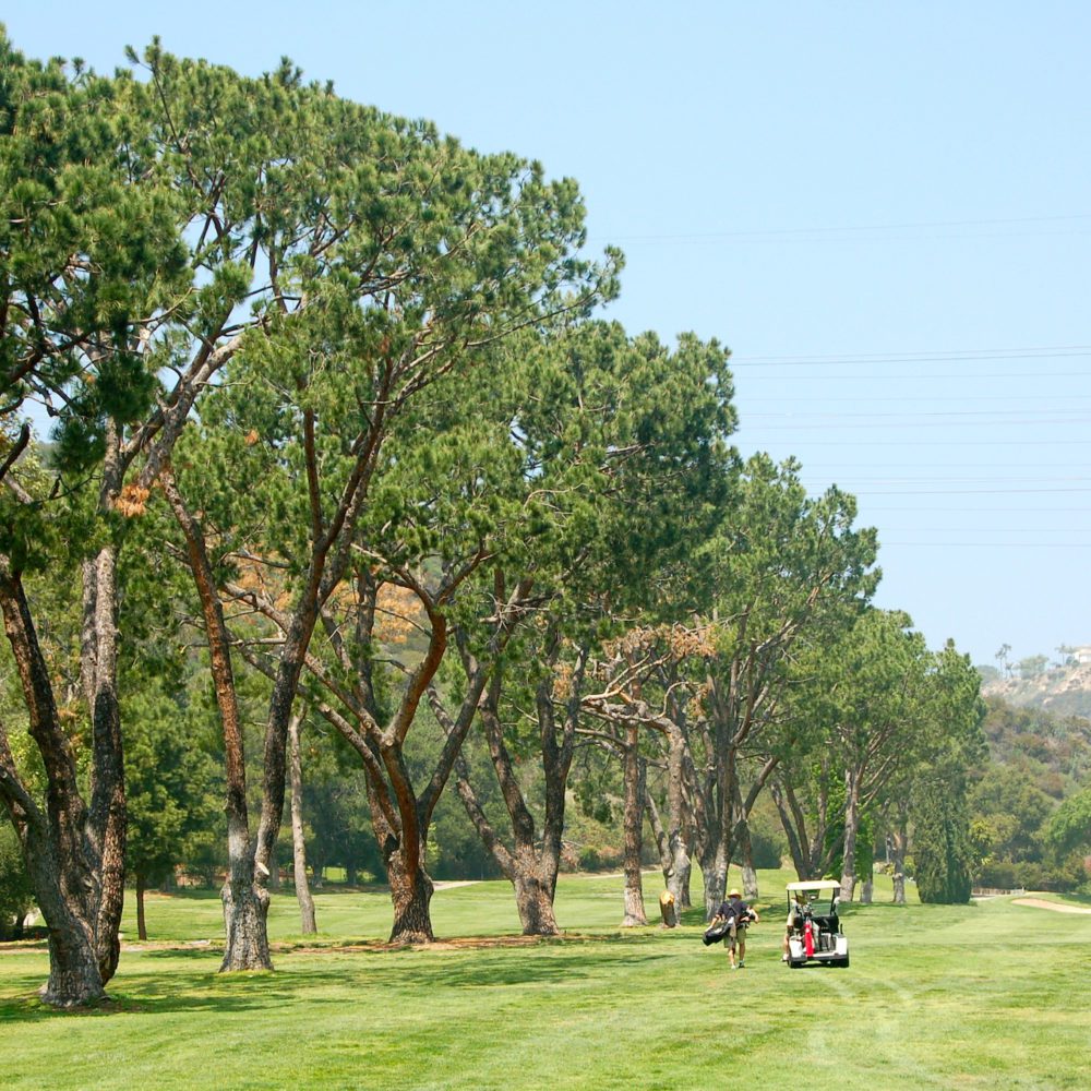 Chevy Chase Canyon Homes For Sale Glendale DIGGS 818.396.7588